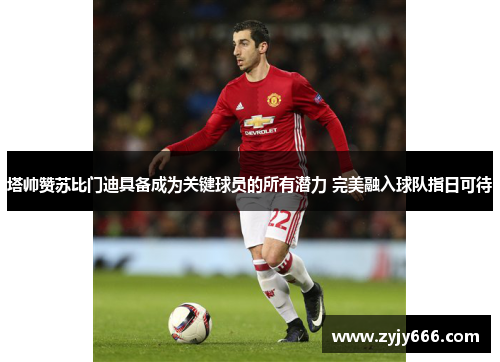 塔帅赞苏比门迪具备成为关键球员的所有潜力 完美融入球队指日可待