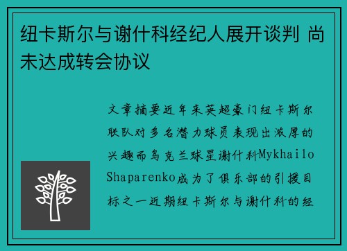 纽卡斯尔与谢什科经纪人展开谈判 尚未达成转会协议